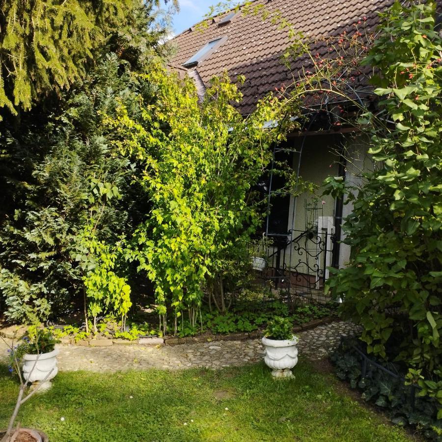 Chorherrn B&B Family Basement Apartment, Breakfast, Free Parking, 5Km From Tulln מראה חיצוני תמונה